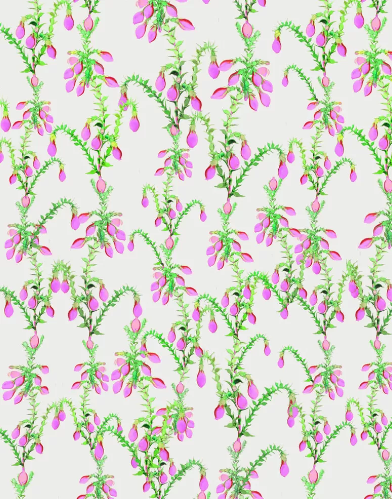 Cynthia Rowley Ivy League Wallpaper