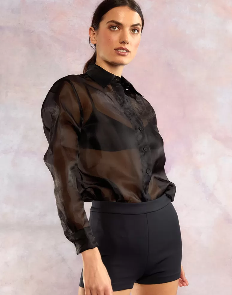 Cynthia Rowley Organza Button Down Shirt