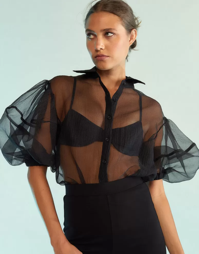 Cynthia Rowley Sheer Bliss Blouse